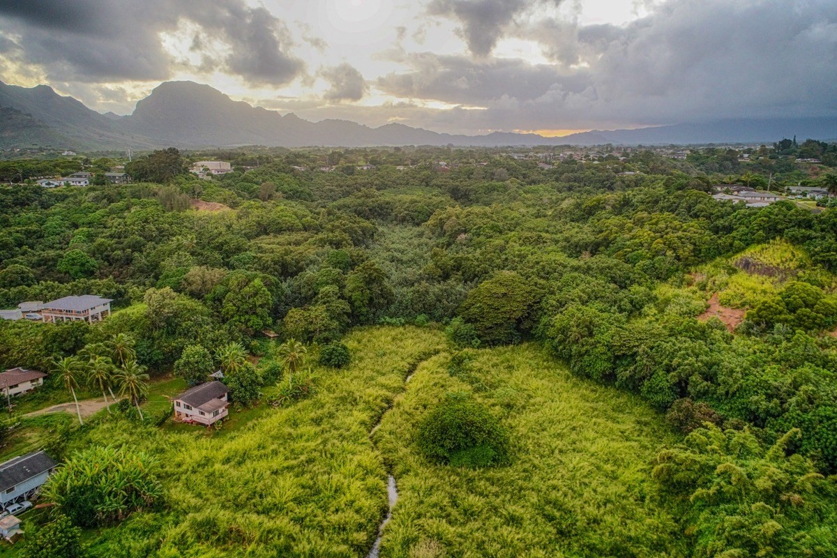 Kahumoku Road, Unit 3 Lihue, HI 96766 - Photo 21 of 27 a view of a green field with lots of bushes
