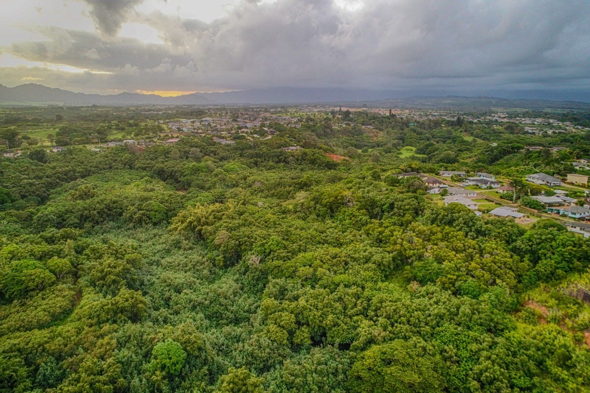 Kahumoku Road, Unit 3 Lihue, HI 96766 - Photo 22 of 27 a view of a big yard with plants and large trees