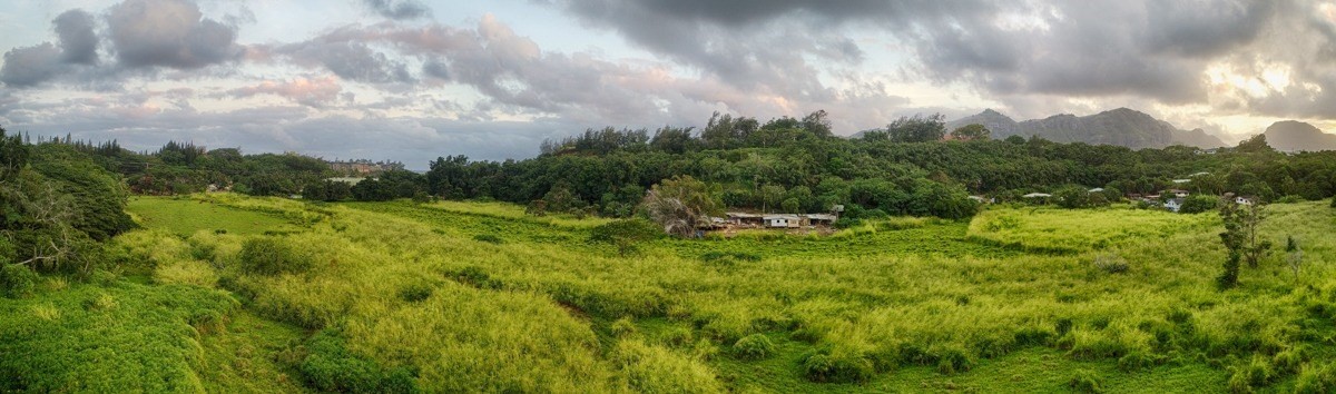 Kahumoku Road, Unit 3 Lihue, HI 96766 - Photo 24 of 27 a view of a green field