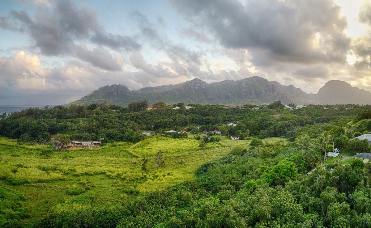 Kahumoku Road, Unit 3 Lihue, HI 96766 - Photo 25 of 27 a view of a city with lush green forest