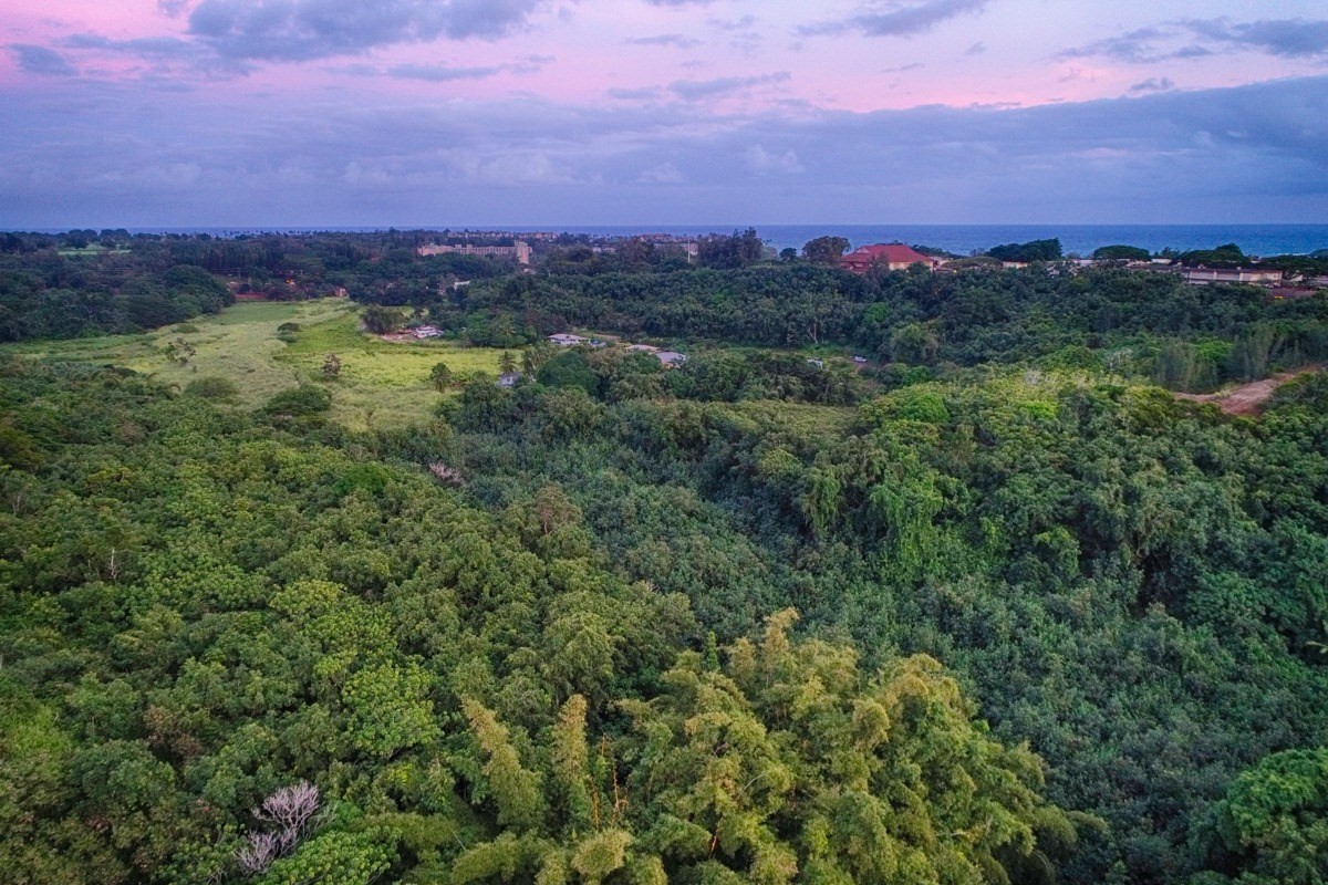 Kahumoku Road, Unit 3 Lihue, HI 96766 - Photo 3 of 27 a view of a city with lush green forest