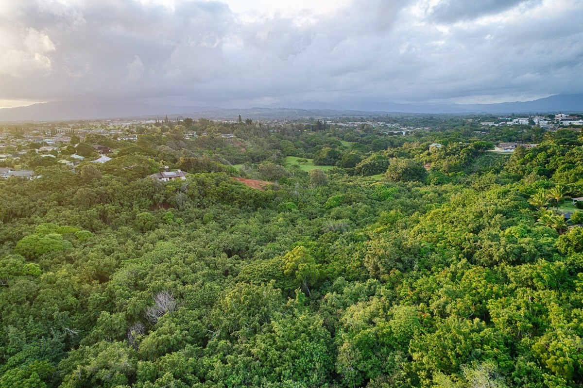 Kahumoku Road, Unit 3 Lihue, HI 96766 - Photo 6 of 27 a view of a big building with lots of trees in it