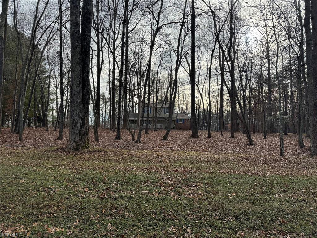 656 Hills Presbyterian Church Road Pilot Mountain, NC 27041 - Photo 2 of 37