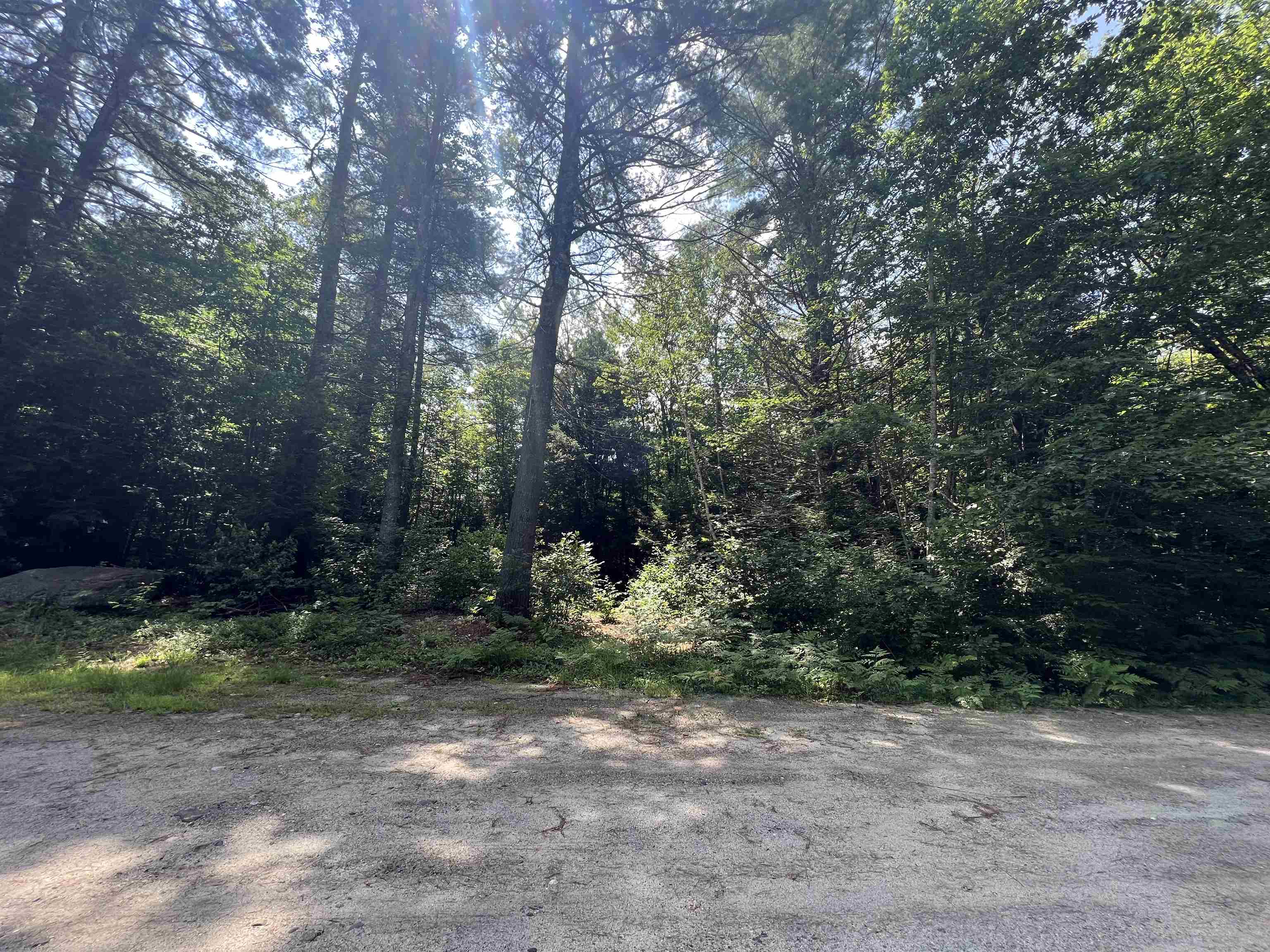 Lot 4 Poulos Road Hebron, NH 03241 - Photo 12 of 29