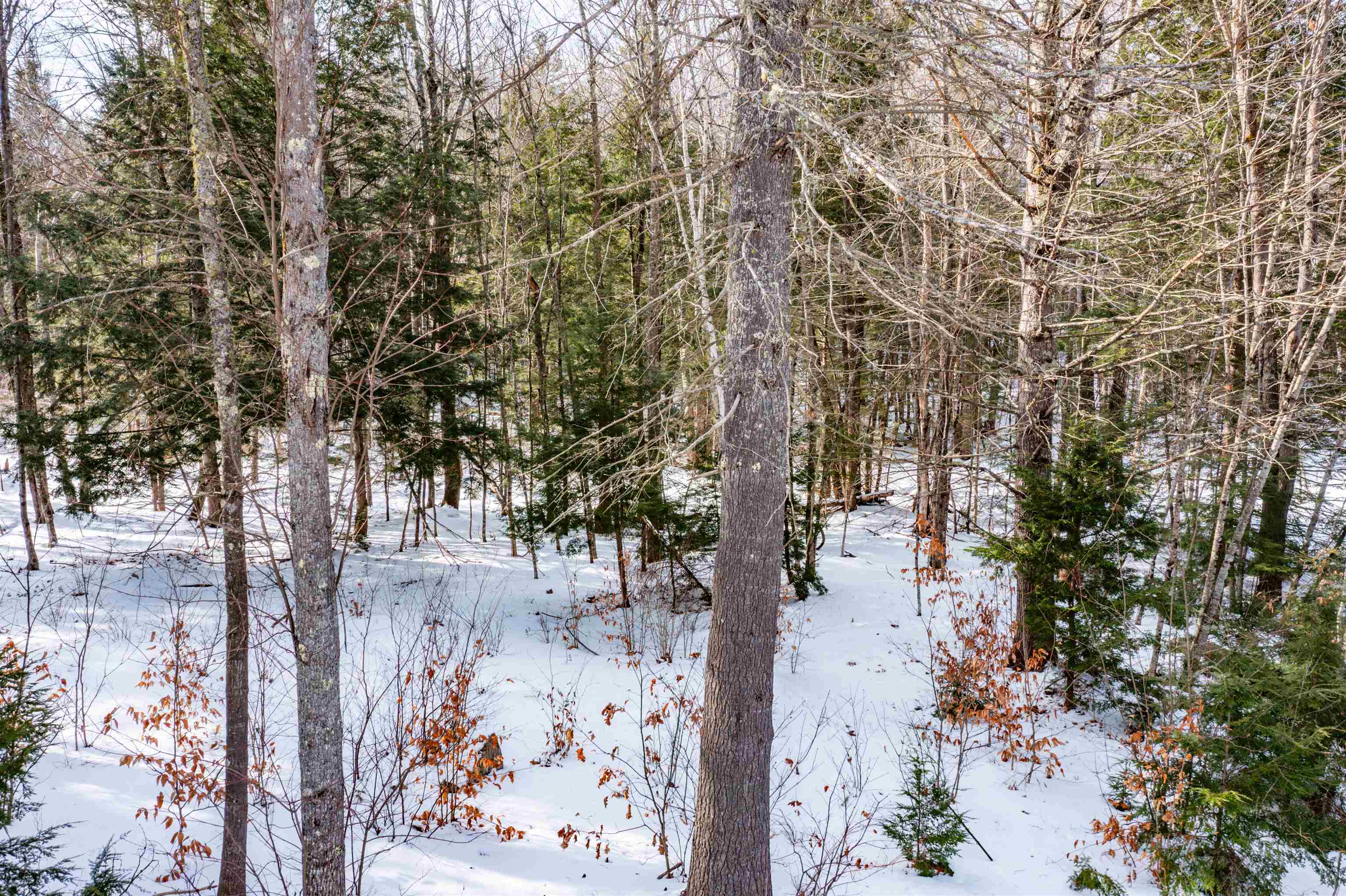 Lot 4 Poulos Road Hebron, NH 03241 - Photo 6 of 29
