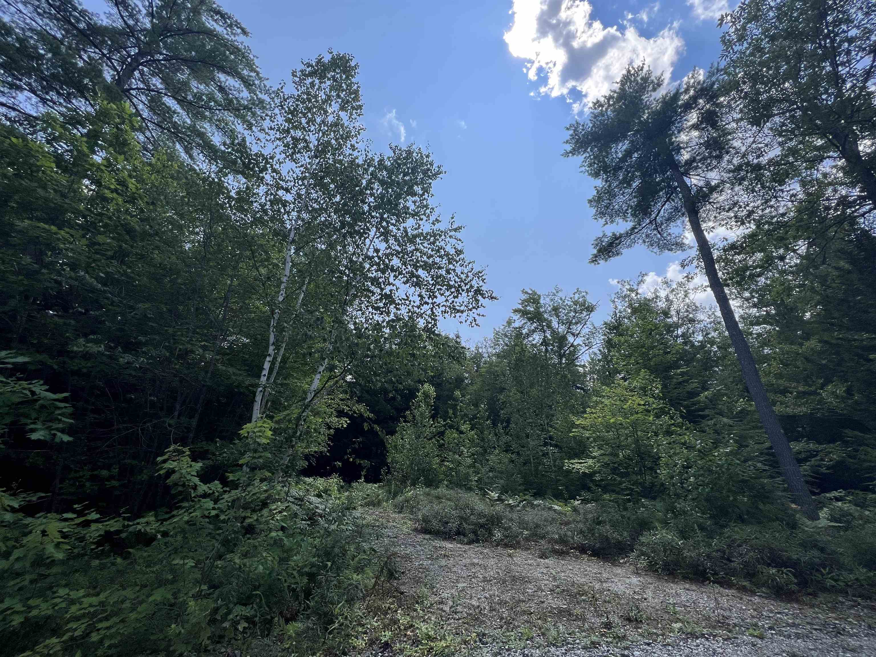 Lot 4 Poulos Road Hebron, NH 03241 - Photo 7 of 29