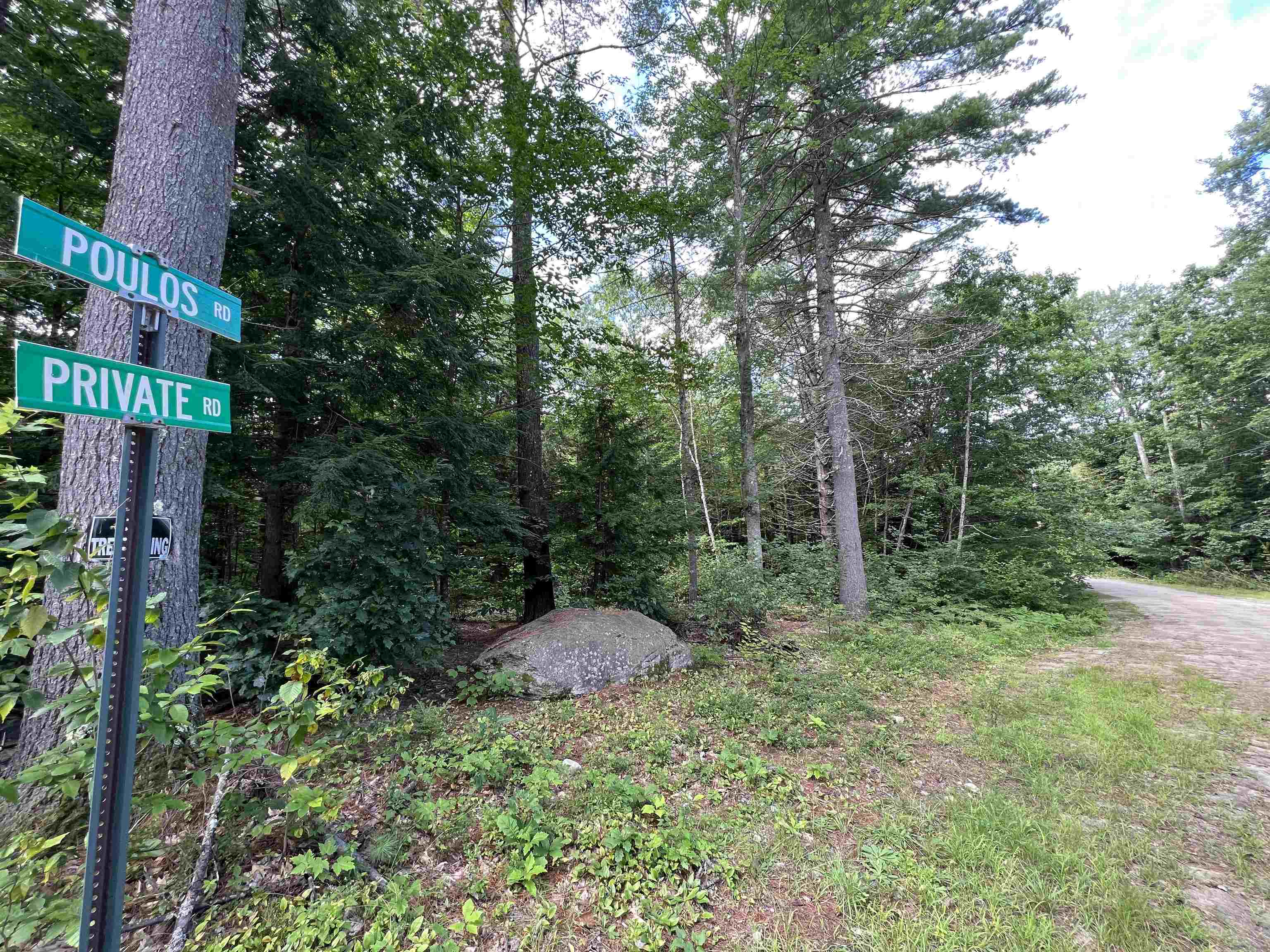 Lot 4 Poulos Road Hebron, NH 03241 - Photo 8 of 29