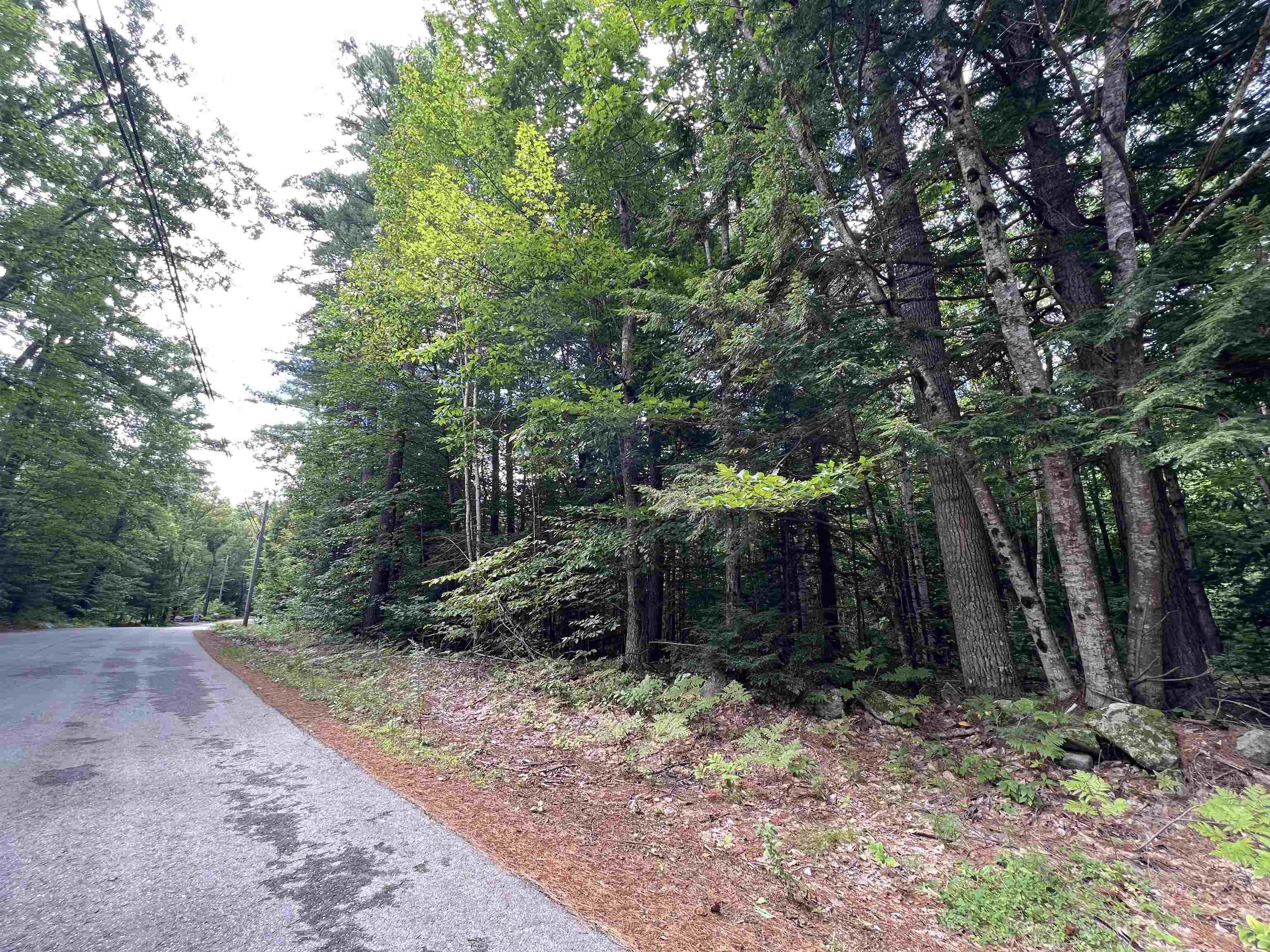 Lot 4 Poulos Road Hebron, NH 03241 - Photo 9 of 29