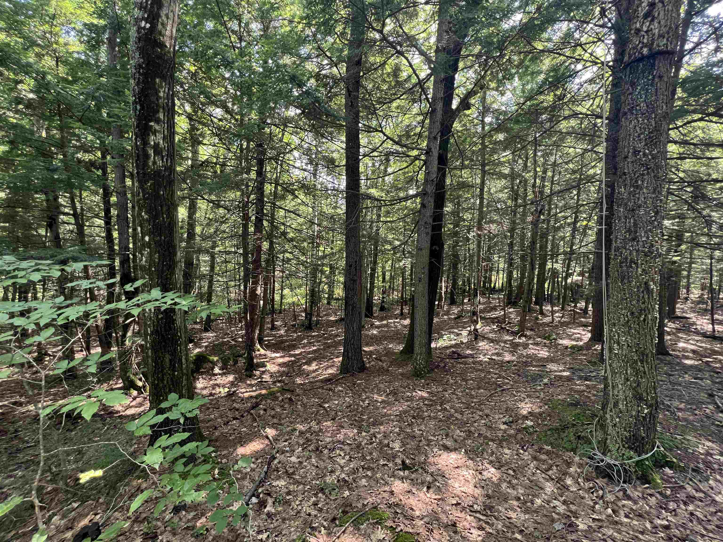 Lot 4 Poulos Road Hebron, NH 03241 - Photo 10 of 29