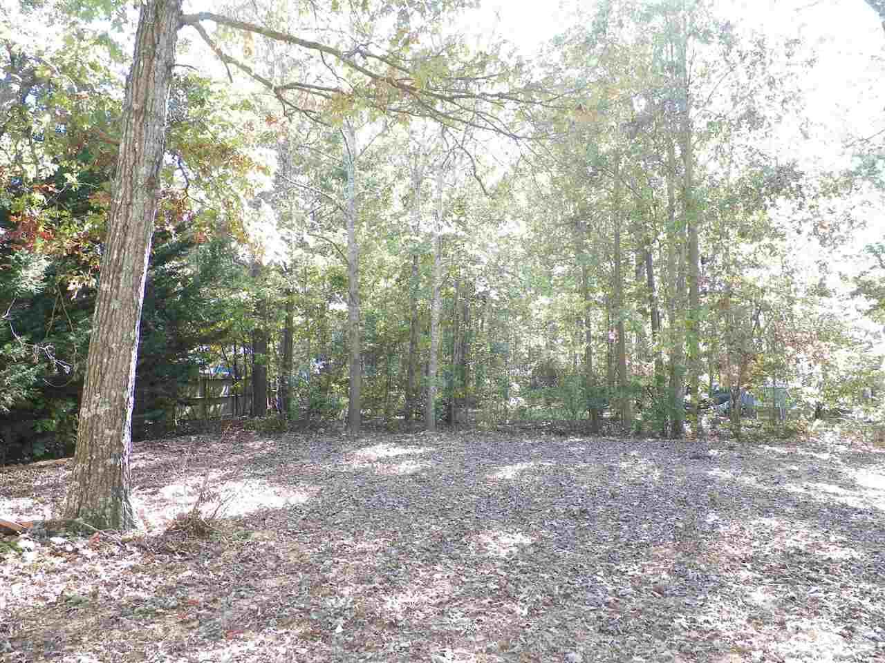 5527 Spring Road Raleigh, NC 27603 - Photo 22 of 24 a view of a forest with trees in the background