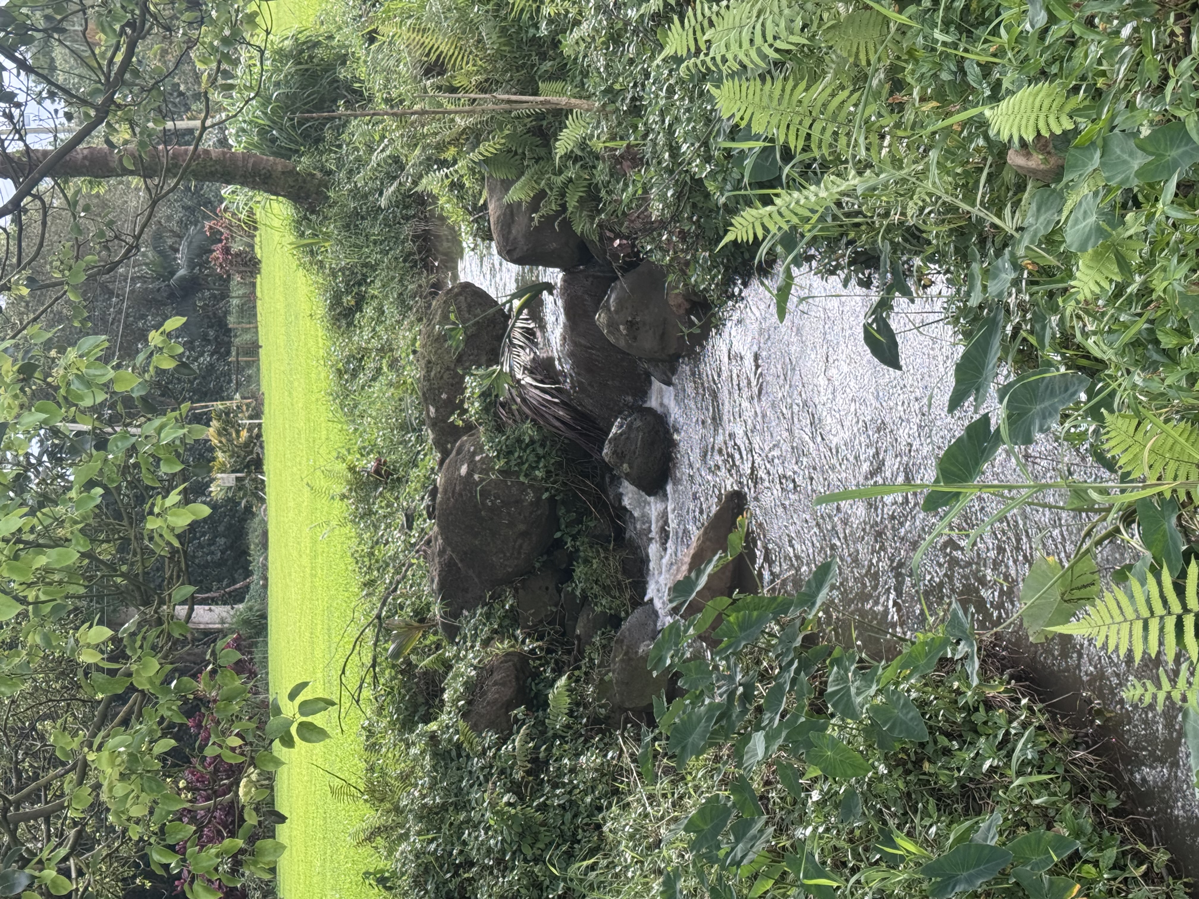 7060 Kahuna Road Kapaa, HI 96746 - Photo 23 of 30