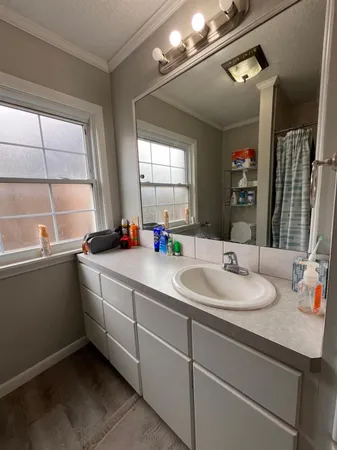 a bathroom with a sink and a mirror