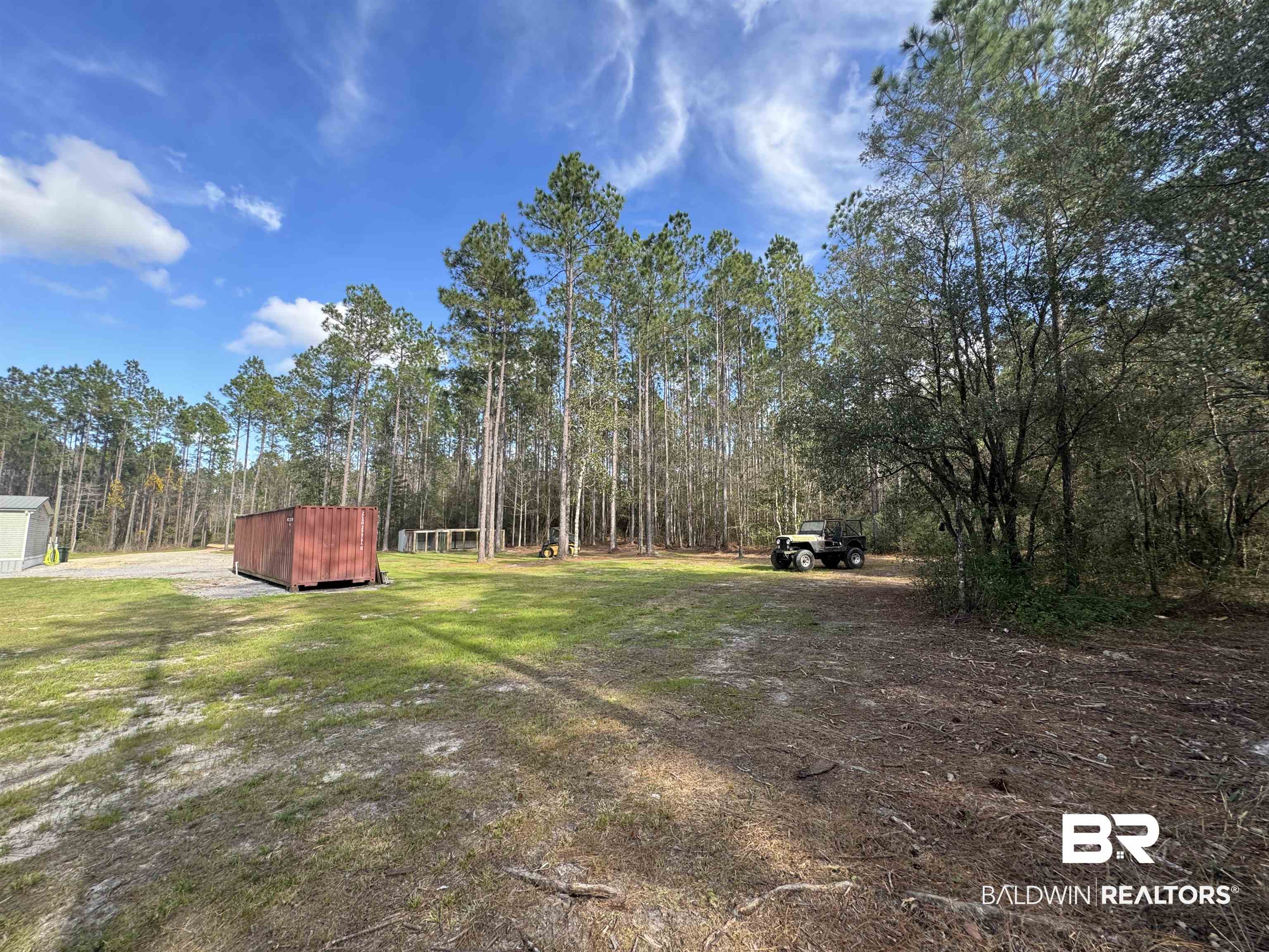 51235 Phillipsville Road Bay Minette, AL 36507 - Photo 6 of 63 View of grassy yard