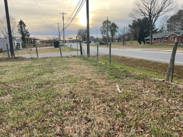 a view of a yard with trees