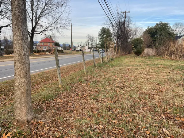 a picture of the tree