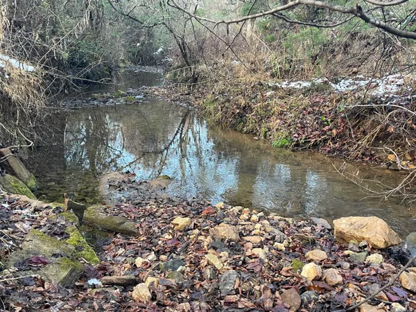 a backyard of a house with lots of green space