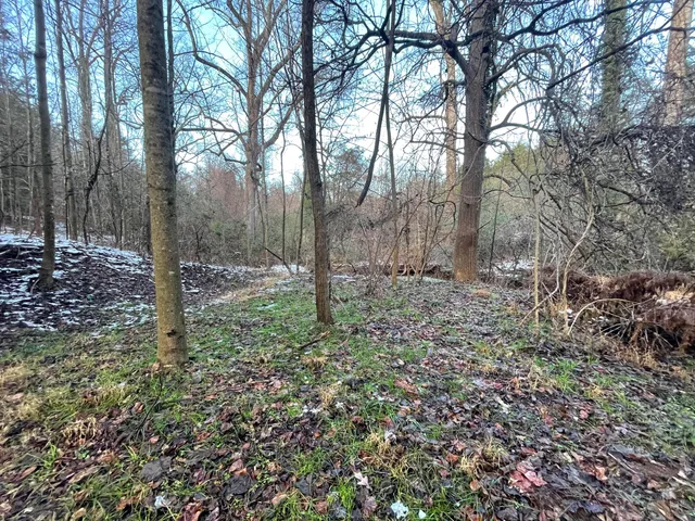 a view of a yard from a corridor