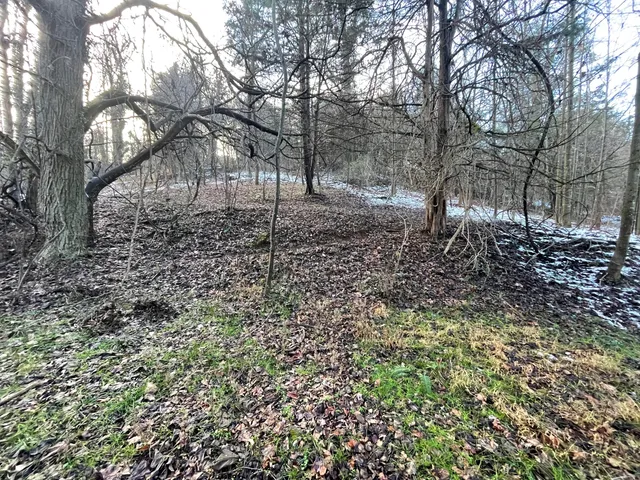 $244,900 | 0 Burks Hill Road, Bedford, VA 24523