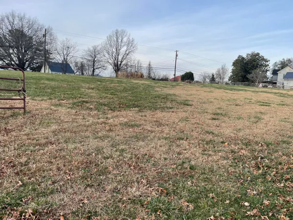 a view of a field with large trees