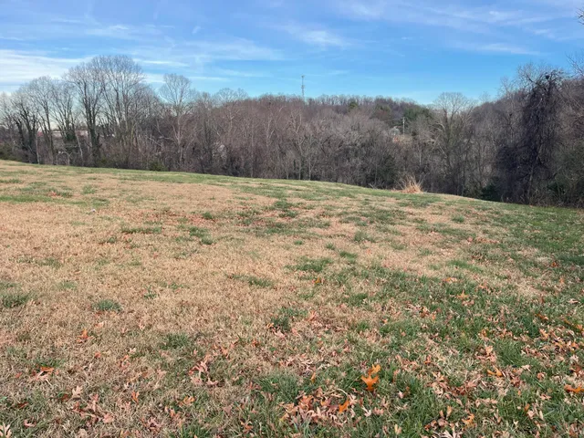a view of a backyard of the house