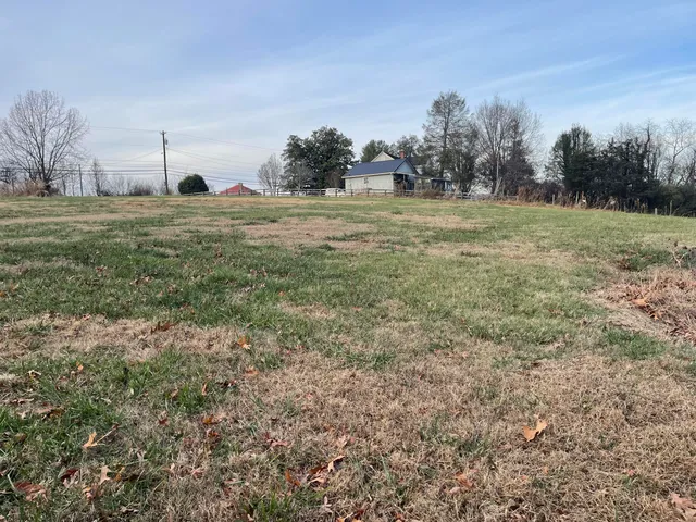 a big room with lots of green space and trees in the background