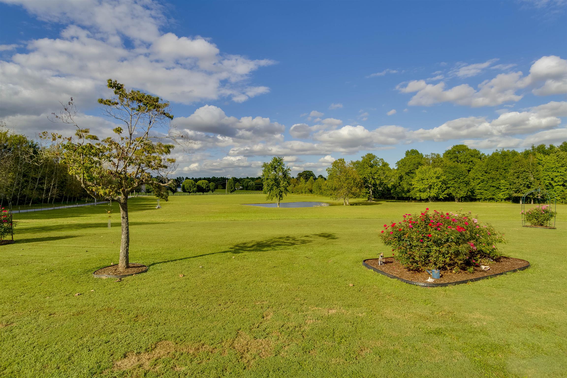 5067 Youngville Road Springfield, TN 37172 - Photo 28 of 28 a view of a lake with a big yard