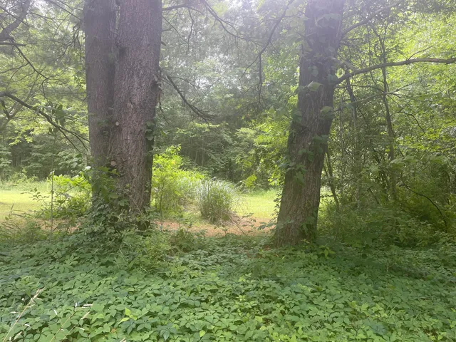 $18,500 | Vacant Lot Miami Avenue, Bloomingdale, MI 49026