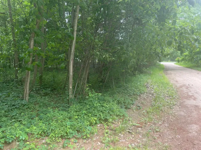 $18,500 | Vacant Lot Miami Avenue, Bloomingdale, MI 49026
