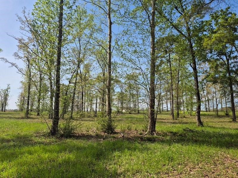 2154 J East Saunders Road Dothan, AL 36301 - Photo 8 of 15