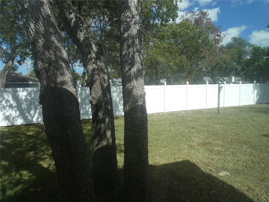 8365 Boyce Street Spring Hill, FL 34606 - Photo 5 of 38 a view of a yard