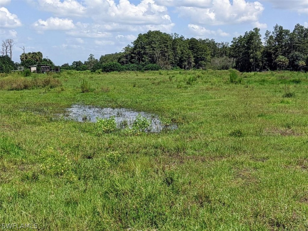 12401 Rod And Gun Club Road Fort Myers, FL 33913 - Photo 4 of 7 a view of a lush green outdoor space with a lake view