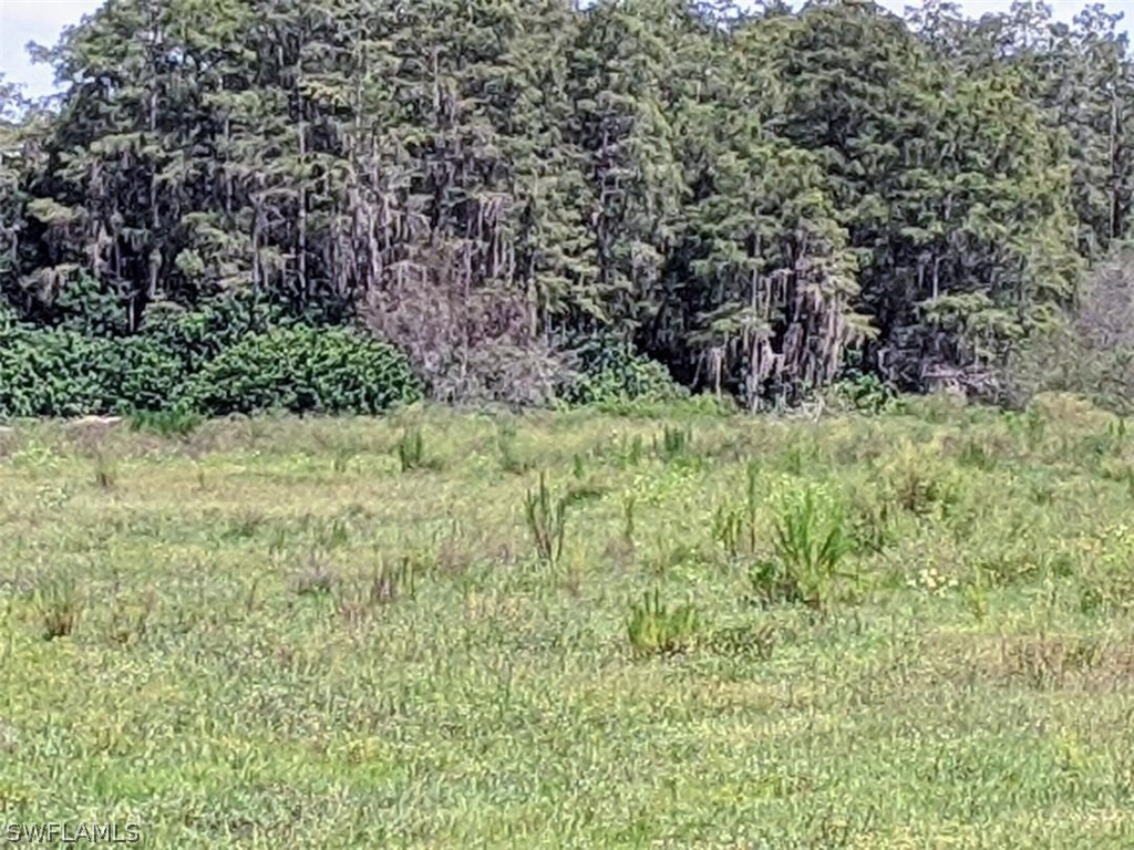 12401 Rod And Gun Club Road Fort Myers, FL 33913 - Photo 7 of 7 a view of a garden from a yard