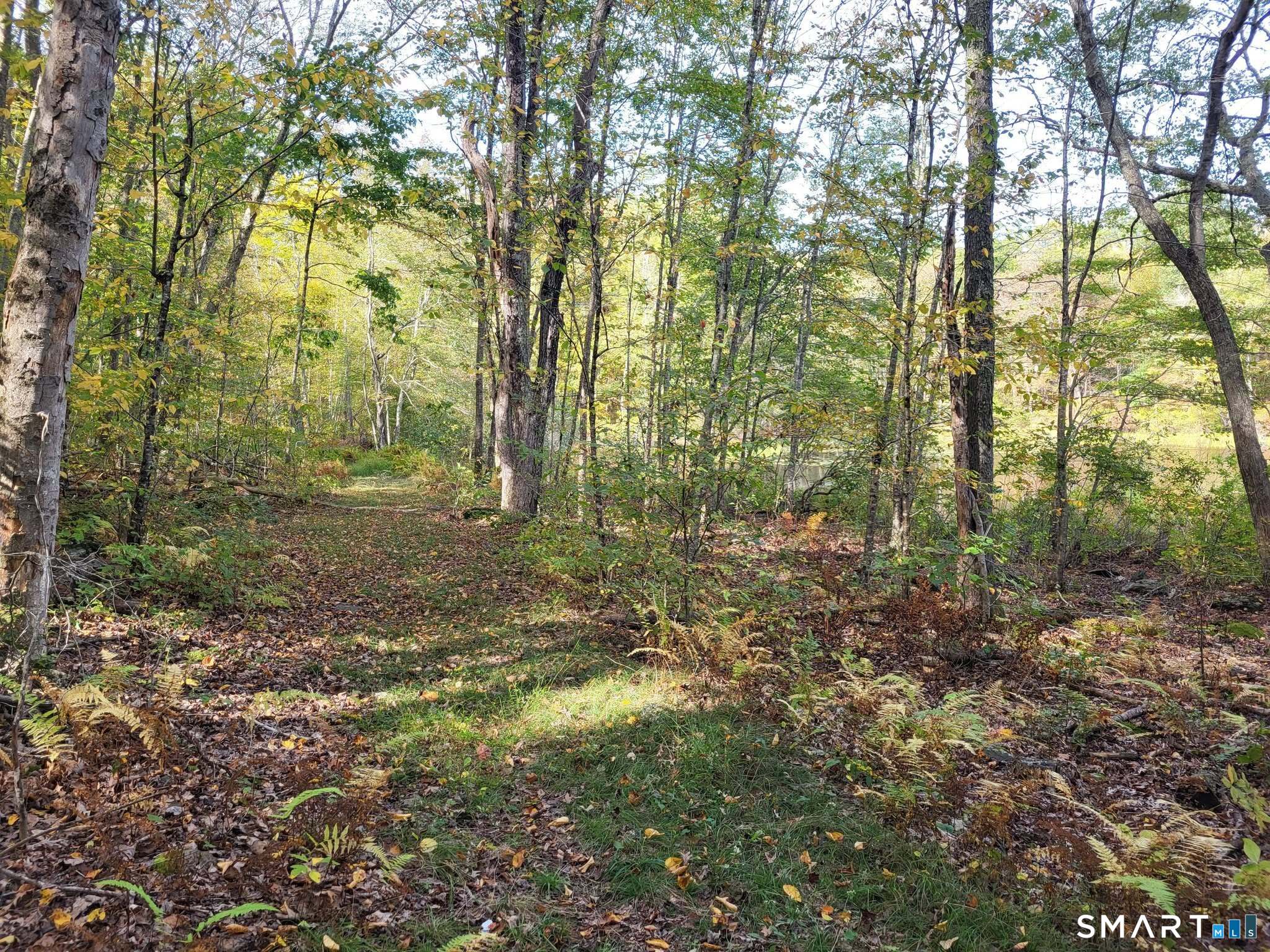 305 Tripp Hollow Road Brooklyn, CT 06234 - Photo 5 of 29