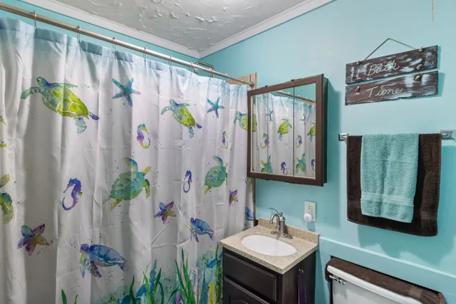 a bathroom with a sink a mirror and a shower curtain