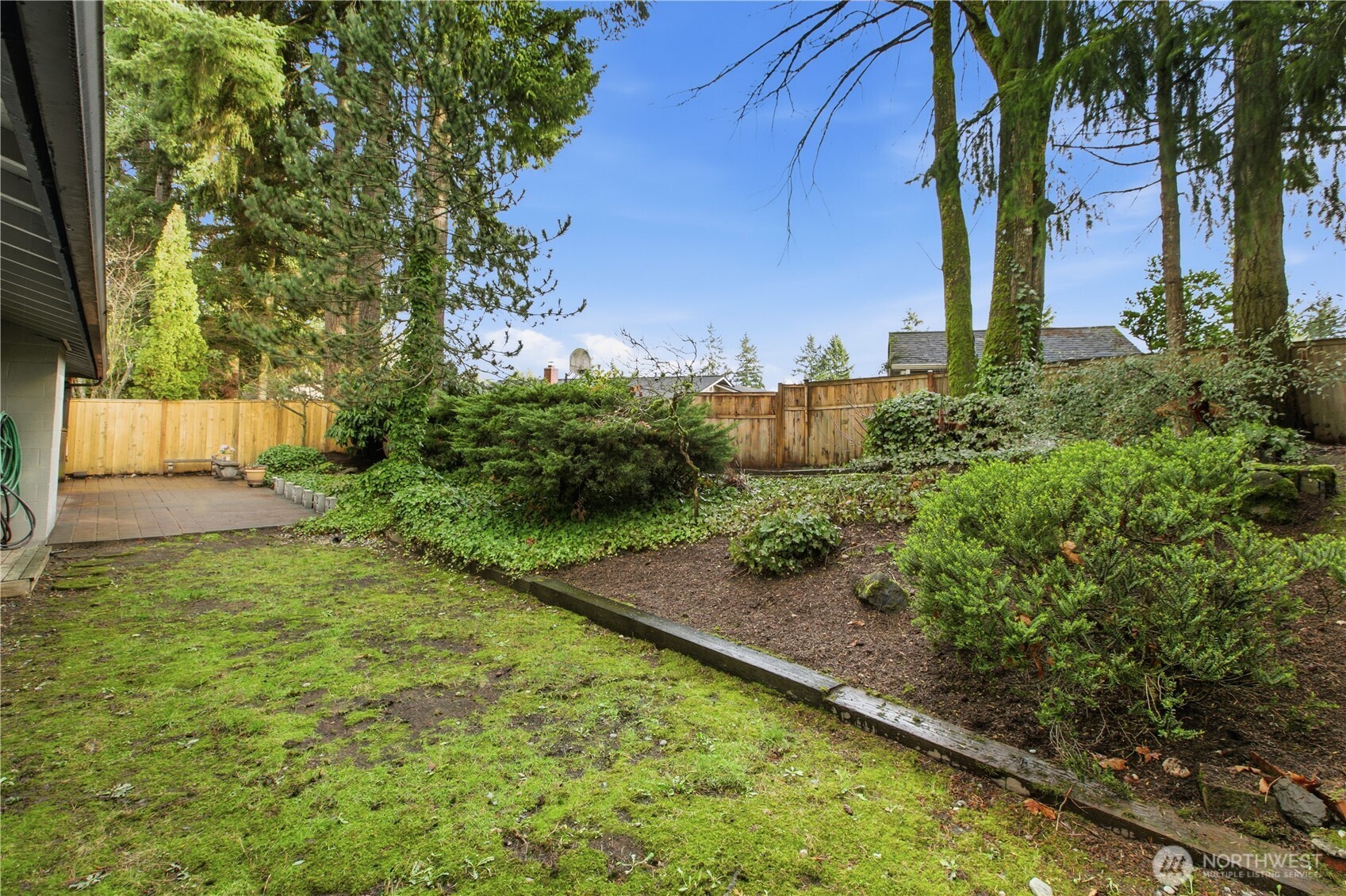 2005 Camas Court Southeast Renton, WA 98055 - Photo 27 of 31 a view of a backyard with plants and large trees