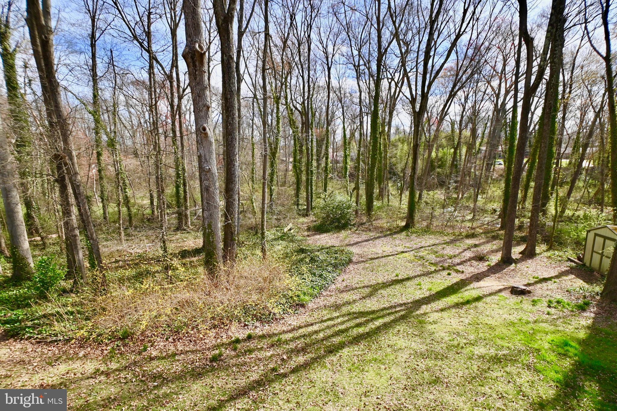 8701 Gateshead Road Alexandria, VA 22309 - Photo 26 of 41 View from Deck