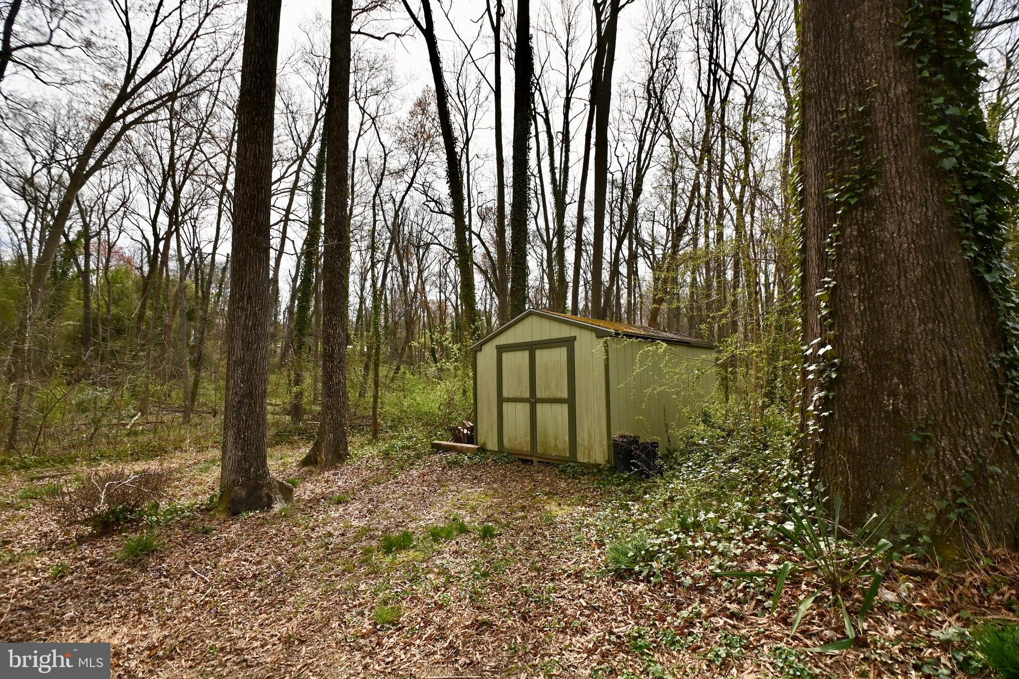 8701 Gateshead Road Alexandria, VA 22309 - Photo 40 of 41 Shed