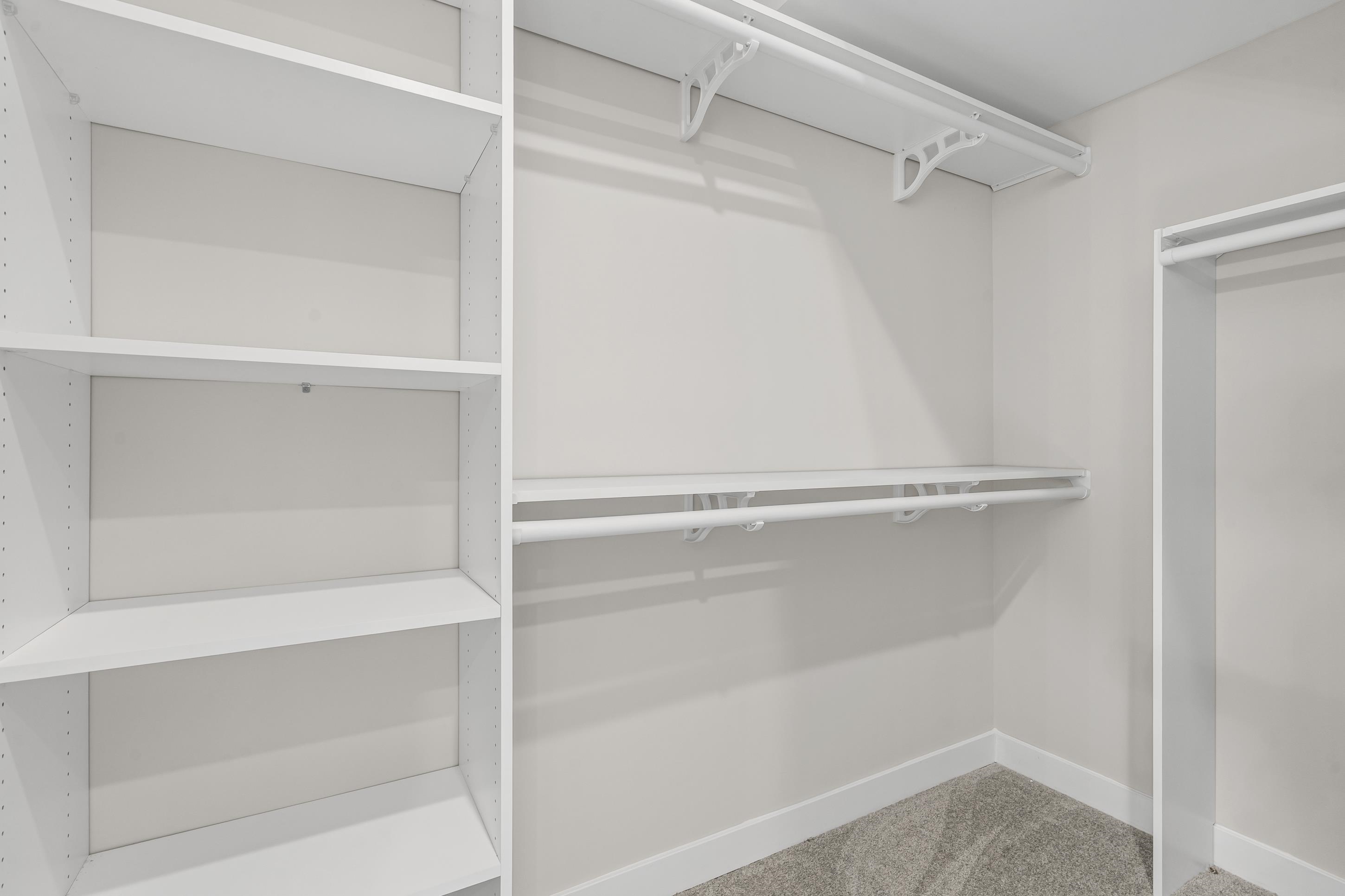 4824 Lyla Lane Collierville, TN 38017 - Photo 22 of 32 a view of an empty walk in closet