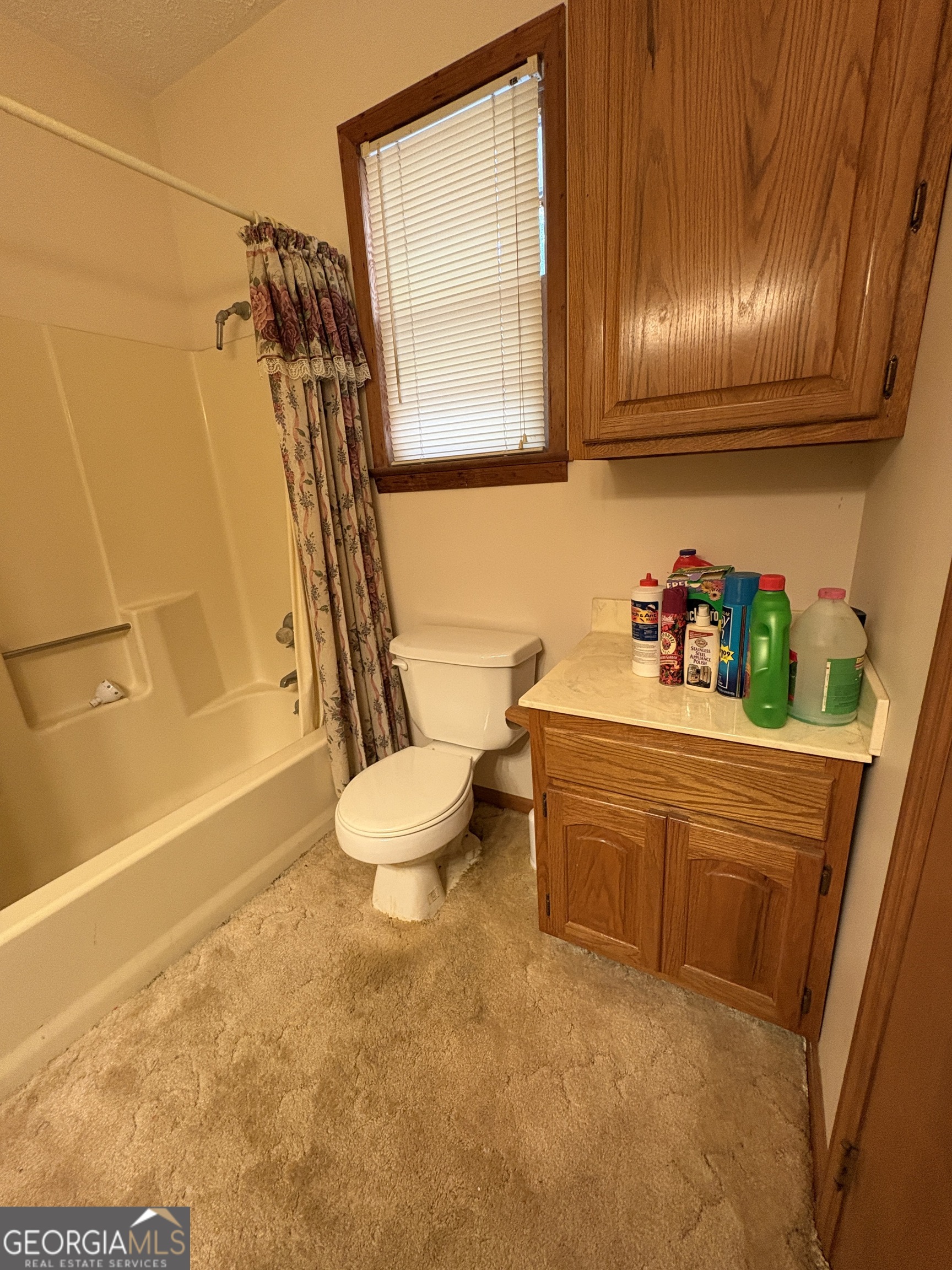 5735 Fitzgerald Street Eastman, GA 31023 - Photo 13 of 22 a bathroom with a sink a toilet and shower