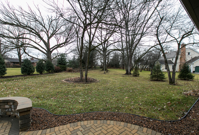 516 Aberdeen Road Frankfort, IL 60423 - Photo 19 of 25