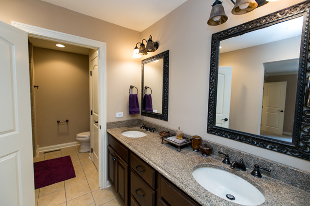 516 Aberdeen Road Frankfort, IL 60423 - Photo 9 of 25