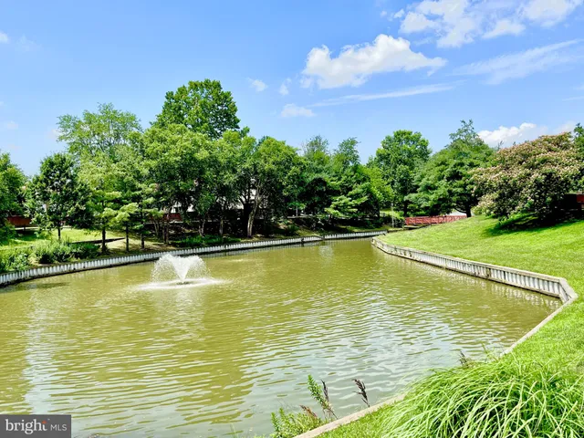 a view of a swimming pool and an outdoor space