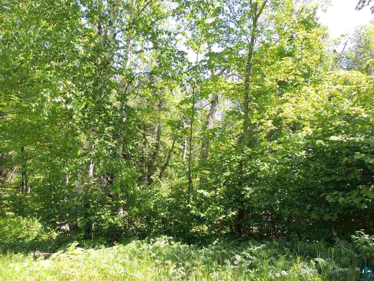 X30 Isak Ridge Lutsen, MN 55612 - Photo 11 of 28