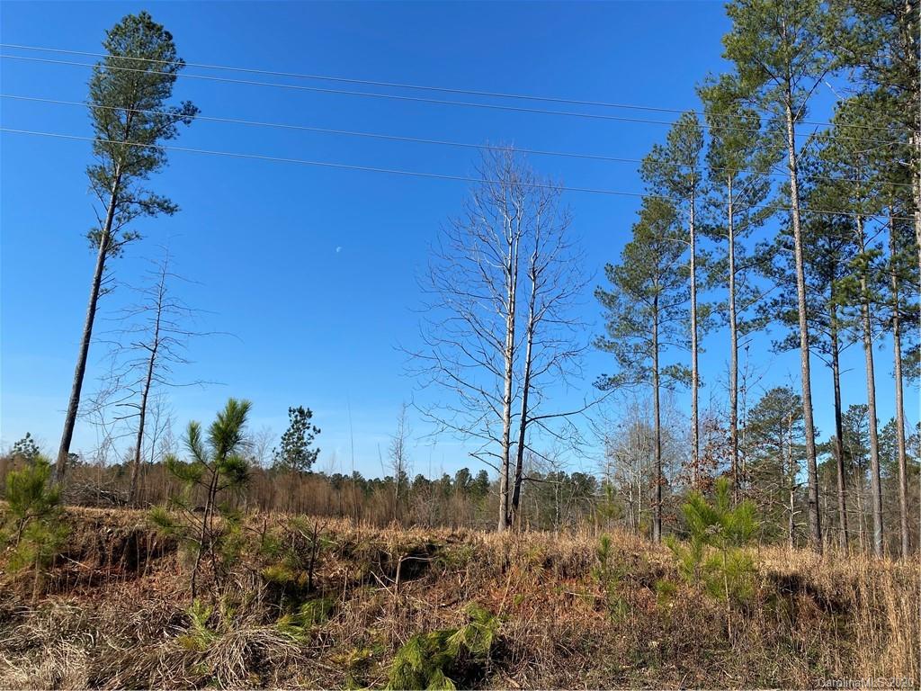 2 Reservation Road Rock Hill, SC 29730 - Photo 1 of 17