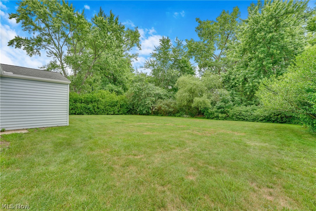 646 Ledge Road Macedonia, OH 44056 - Photo 23 of 28 Expansive lawn area featuring a light blue siding structure with a grey roof, bordered by mature deciduous trees and established green foliage