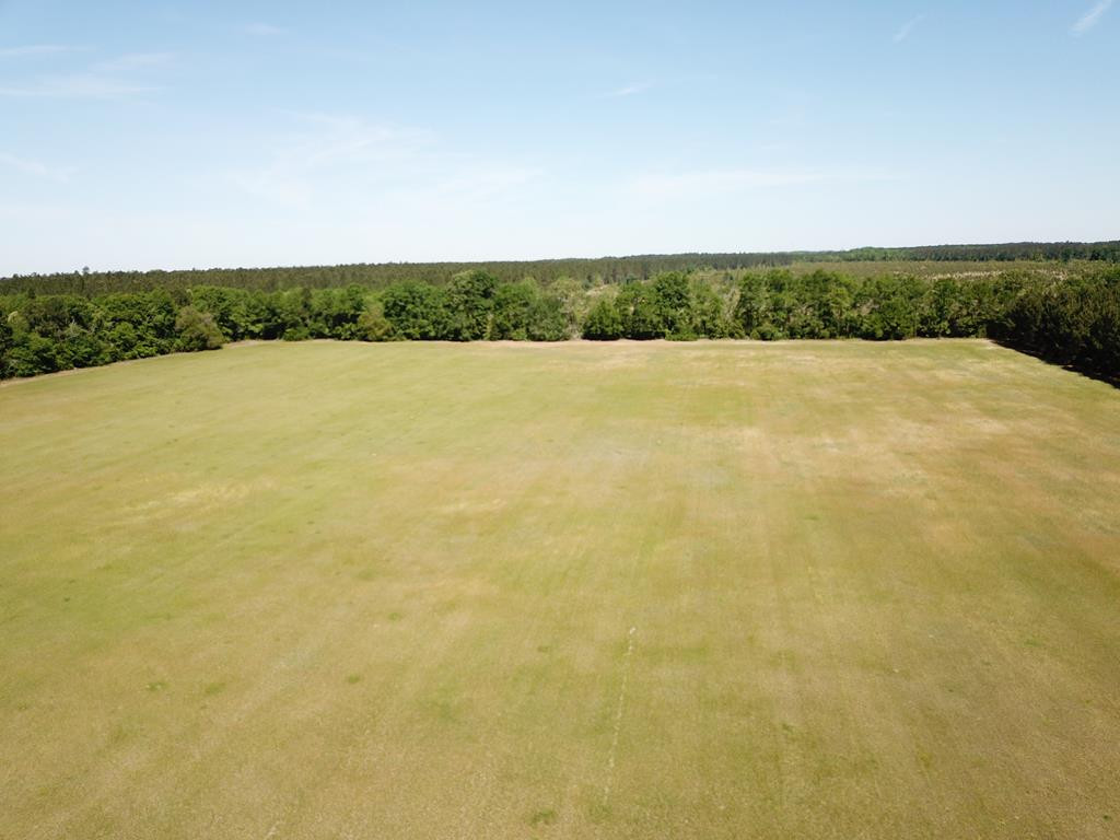 Tbd Tbd Dixie Road South Wagener, SC 29164 - Photo 4 of 25