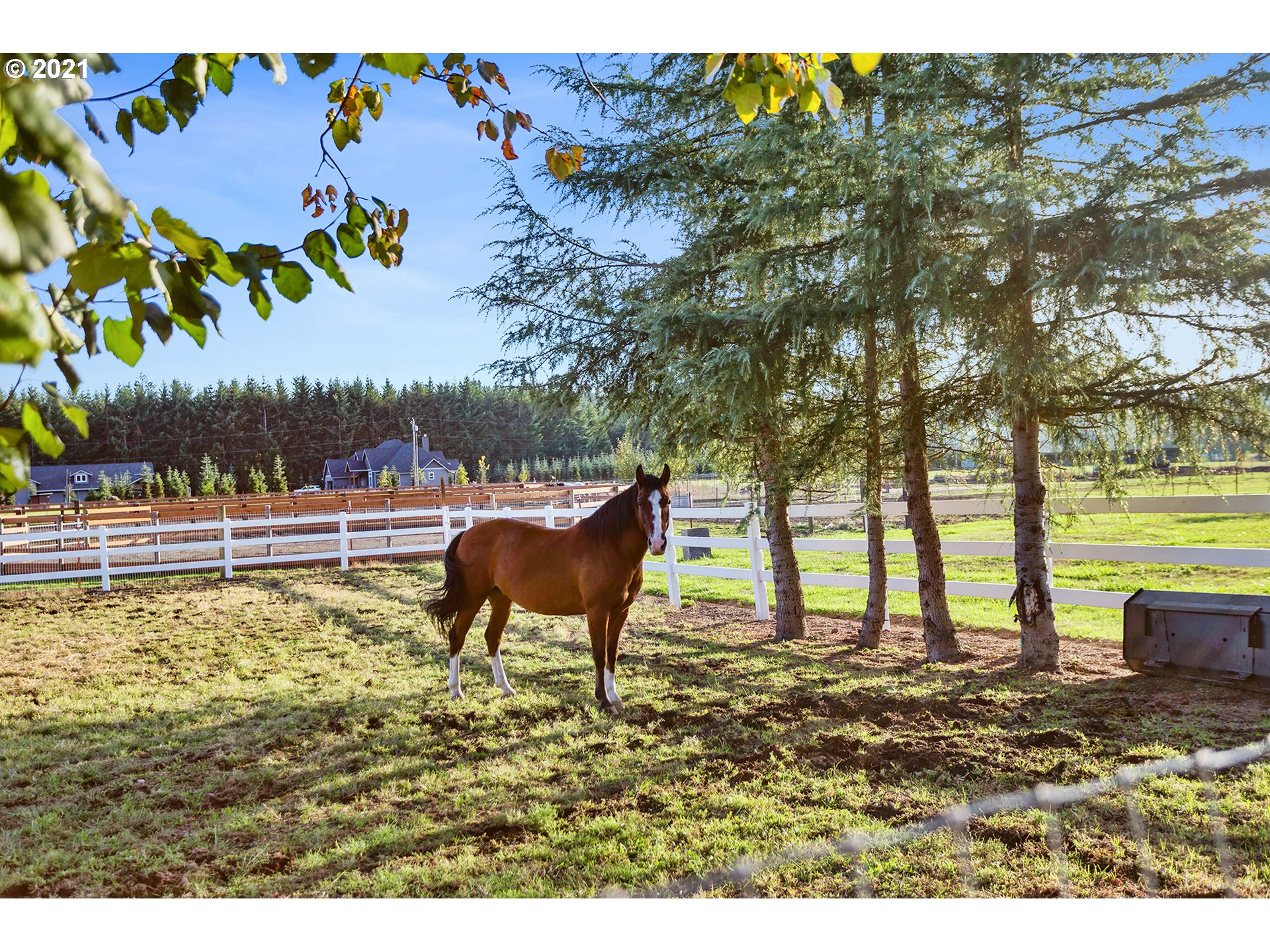 15849 South Harding Road Oregon City, OR 97045 - Photo 28 of 32 a view of a outdoor space
