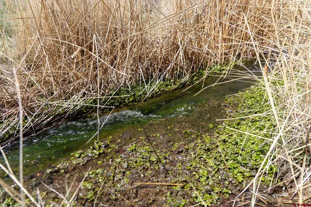 a view of lake and mountain