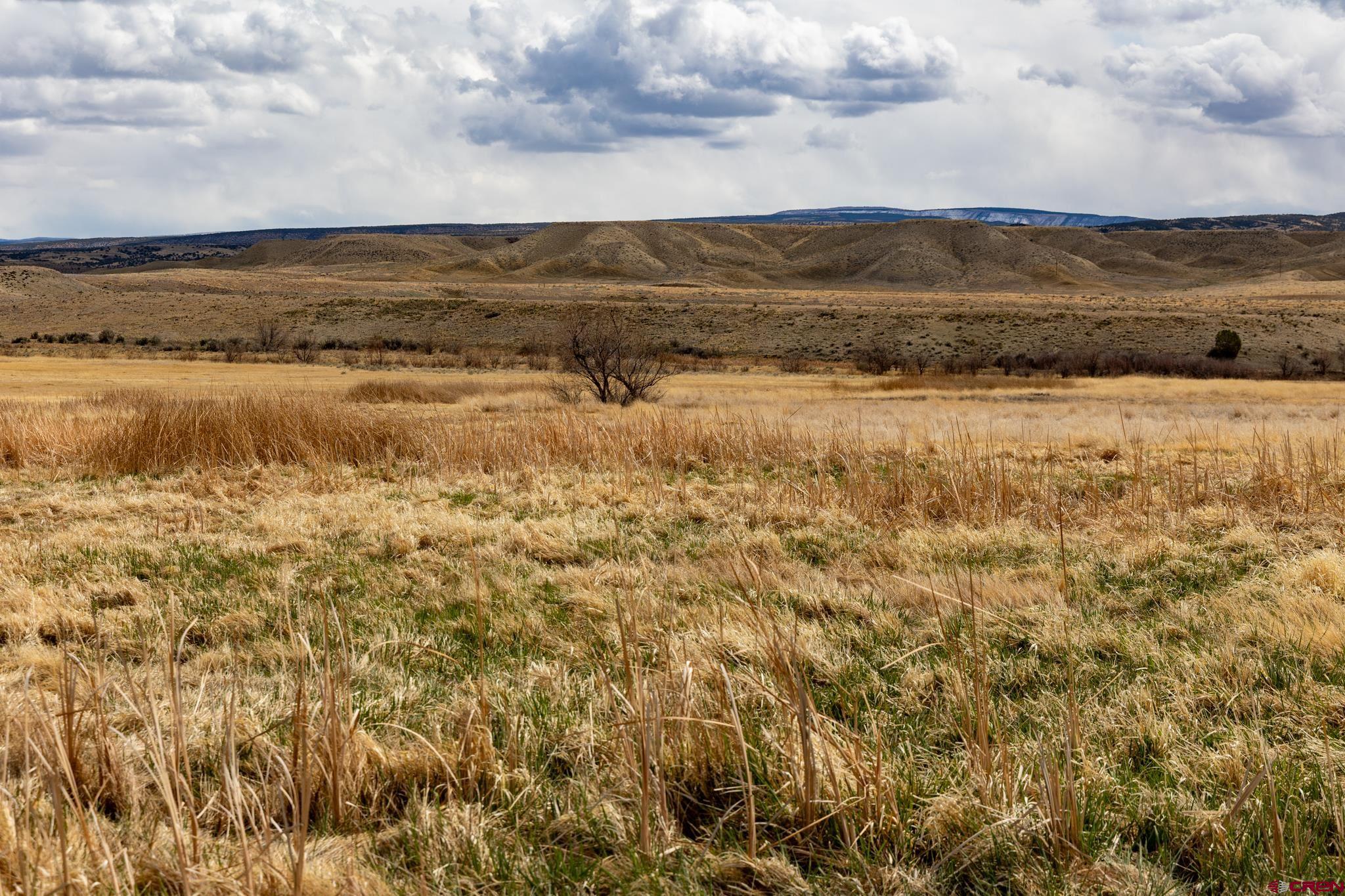11577 Shamrock Road Hotchkiss, CO 81419 - Photo 36 of 43 a view of an ocean