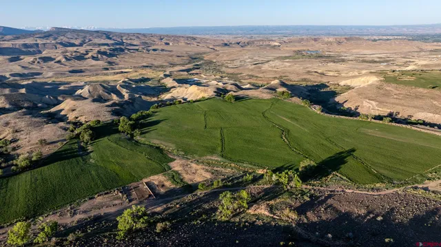 a view of a lush green hillside and houses